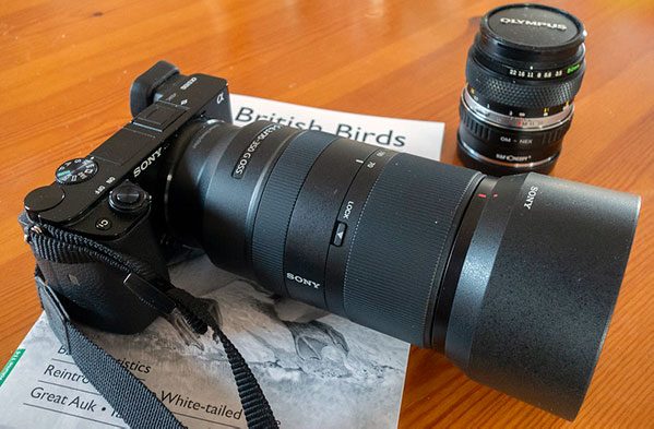 Is The Sony a6100 Weather-Sealed?